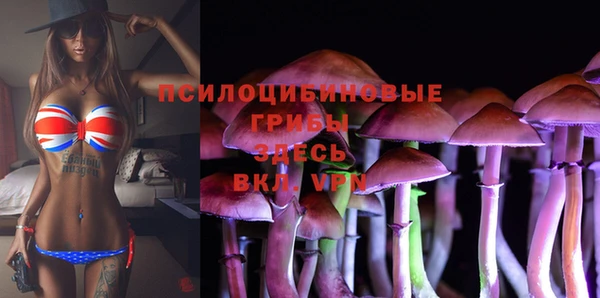 ALPHA-PVP Аркадак