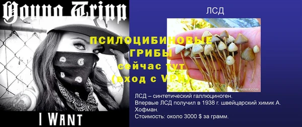 шишки Баксан