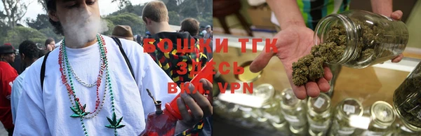 шишки Баксан